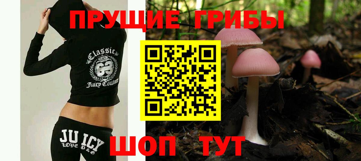 Великий Новгород  Псилоцибиновые грибы Psilocybine cubensis  Галлюциногенные грибы Cubensis  Вход с VPN 